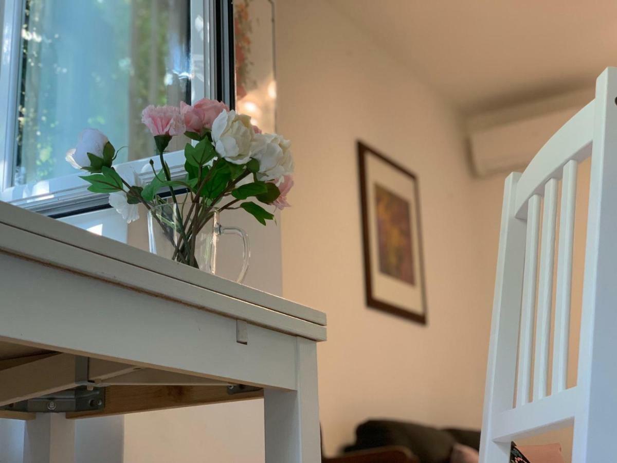 Flowers In Apartment