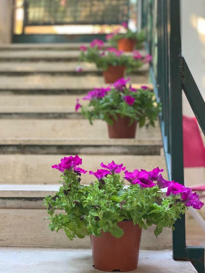 Flowers In *